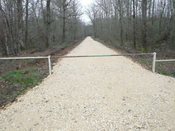 Création de routes et pistes forestières