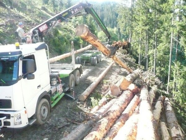 Chargement des bois vendus par l'acheteur