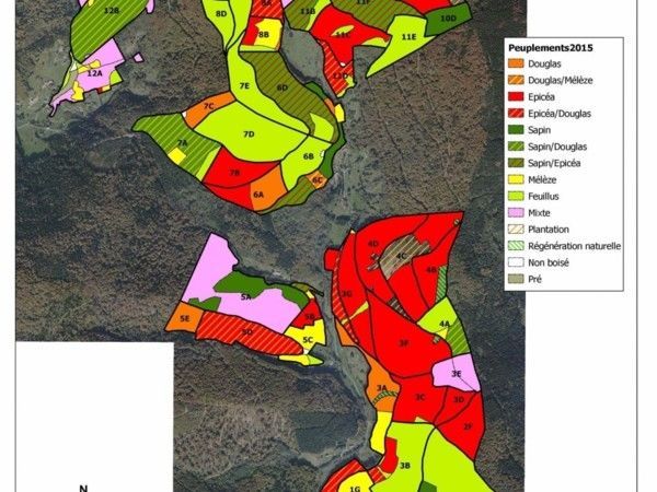 Planification de la gestion (PSG, cartographie...)